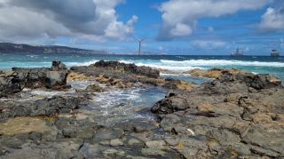 2024-03-Playa_de_Malpaso--La_Restinga-18.jpg